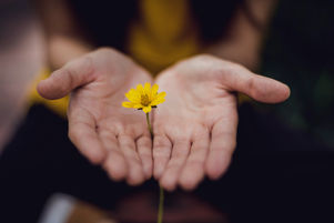 A New Chapter in Life Coaching