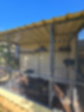 20260404_160910.jpg