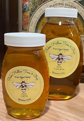 honey 3 .JPG