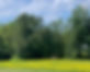 field 2.jpeg