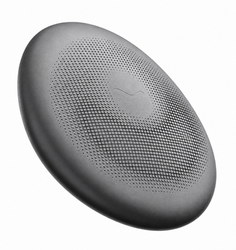 Pebble