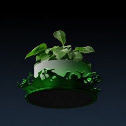 Splash Planter