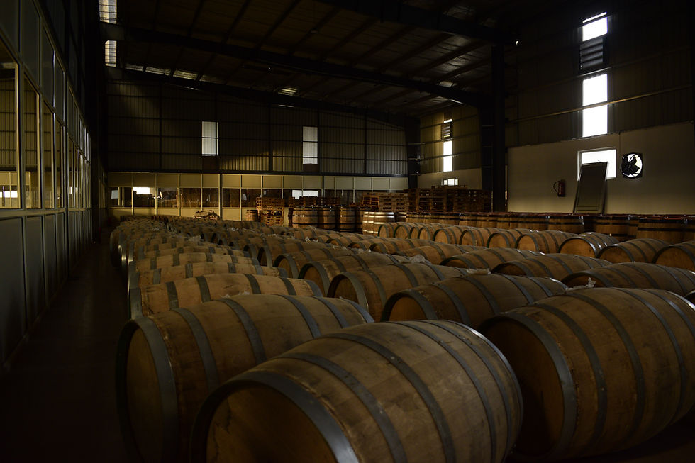 Casks of bulk spirit maturing before bottling and labelling