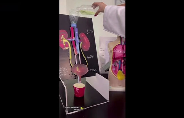 مشروع مادة الأحياء للصف الثاني ثانوي