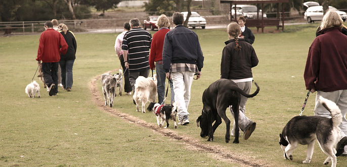 Social Walk_edited.jpg
