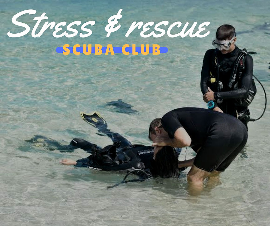 Stress and rescue Koh Tao Scuba Club_edited.jpg