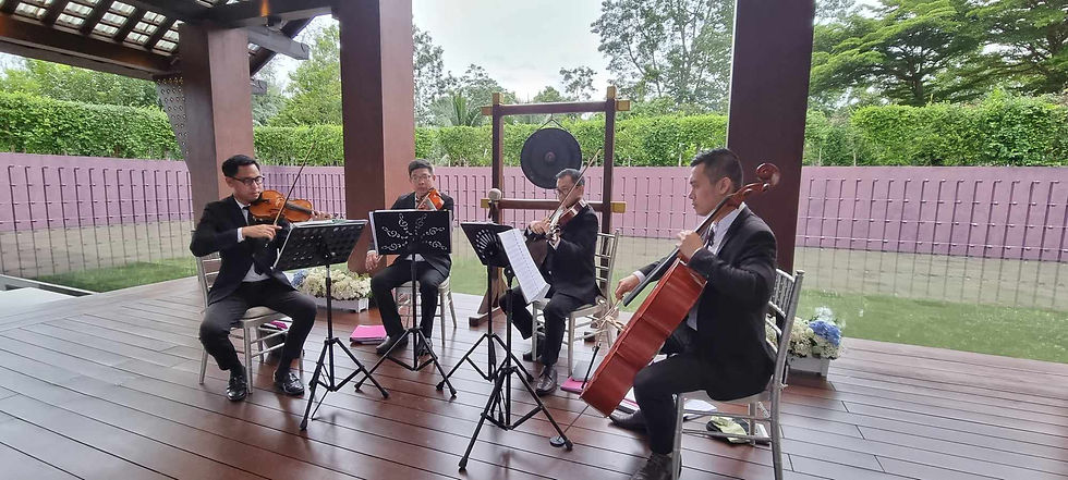 String Quartet