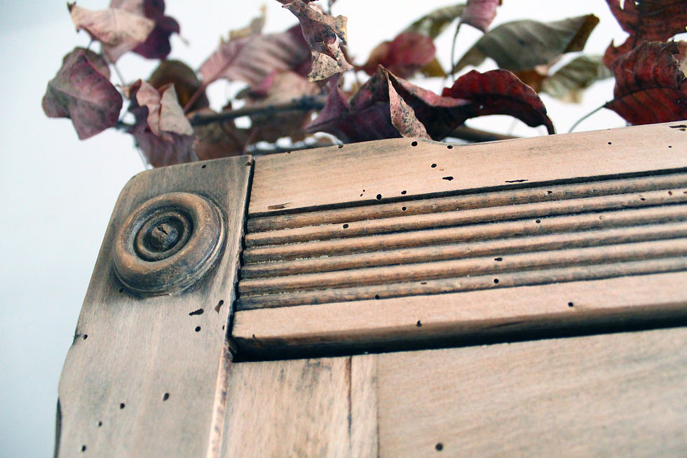 Miniature : bibliotheque vitrée sur mesure bois brut vaisselier ancien scandinave boheme