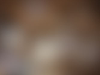 Flowers & Stones Timeline