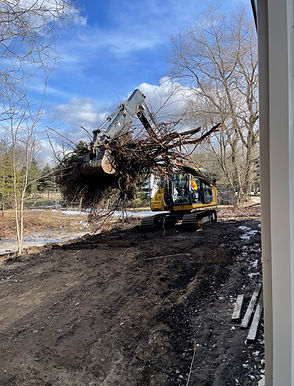Land clearing stump removal