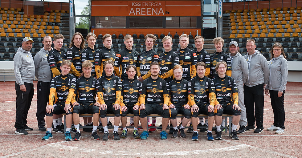 Suomensarja