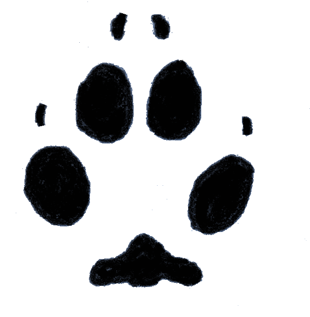 grayfoxtrack_transparent.gif