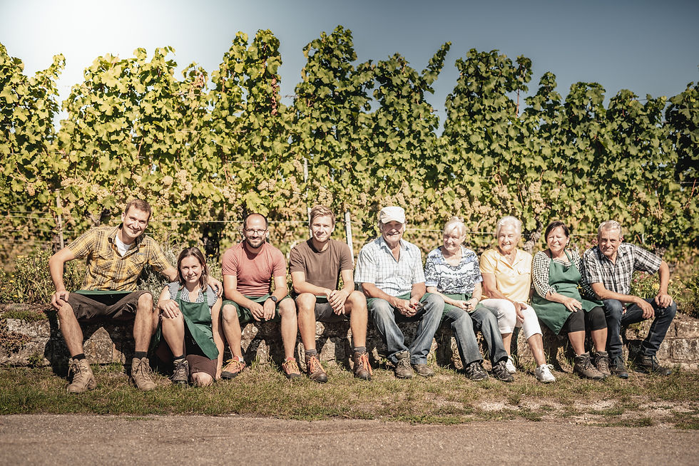 Singer & Bader - Württemberg