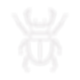 Käfer