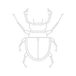 Beetle