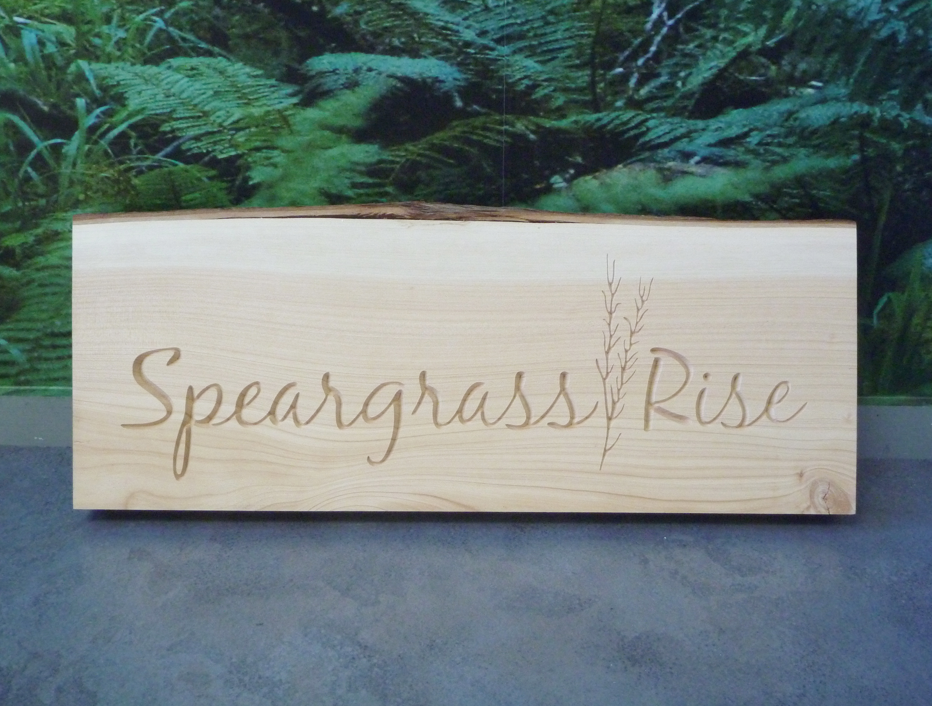 Speargrass Rise