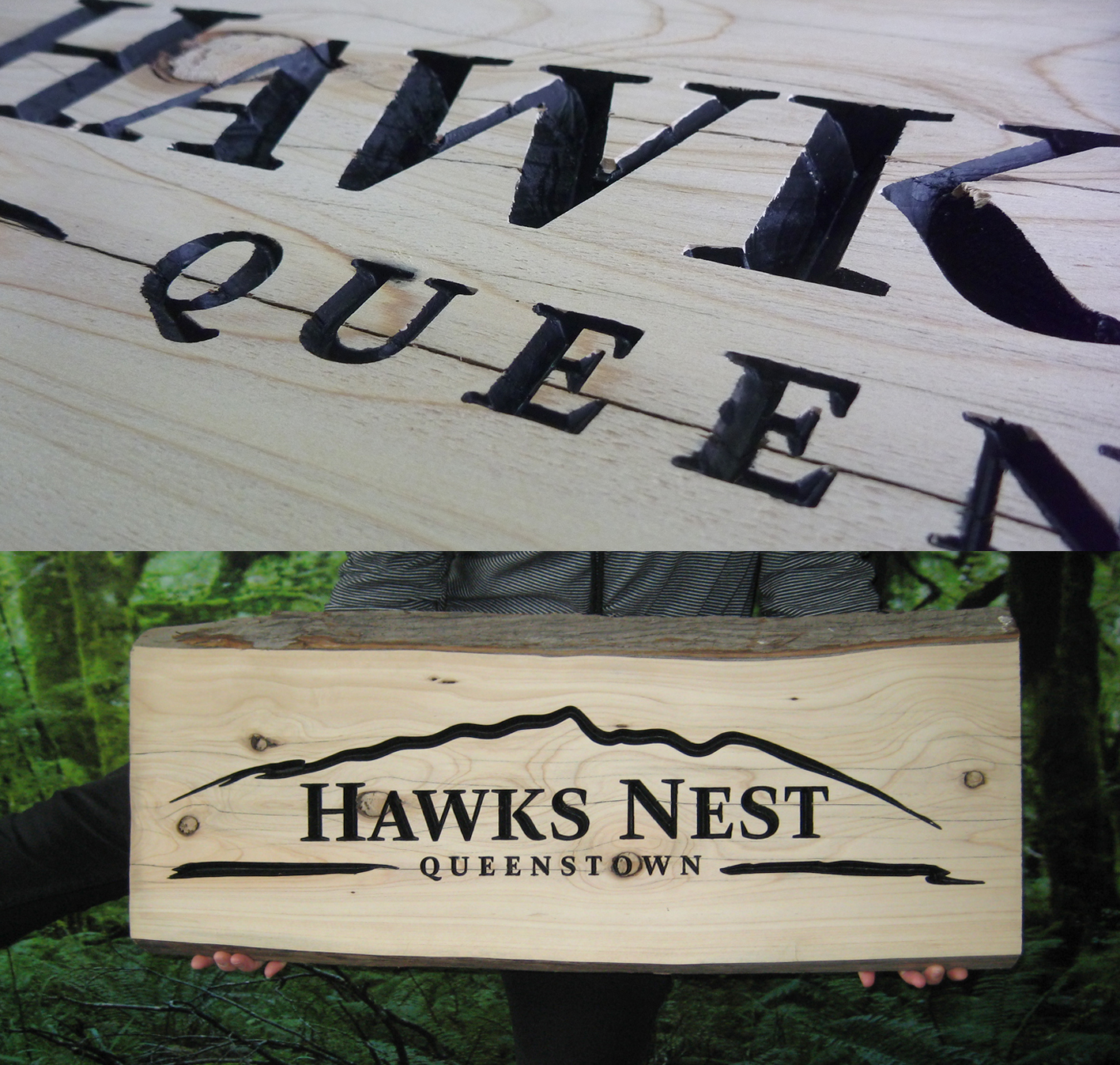 Hawks Nest