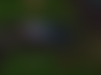 Tara Slipped in the Mud