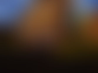 Built a Small House in the Outpost