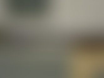 Another Heckler Down