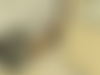 Thinking of Giving Tigger to Tara