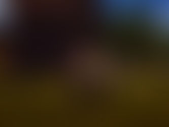 Me and Tara Are Back at the Outpost