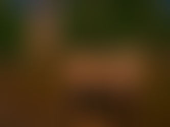 The Search for Chilliwack