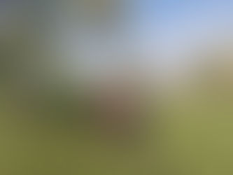 Returning to Felicia