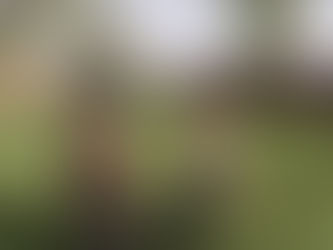 Heading Back to Felicia