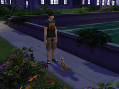Tigger Came Home!