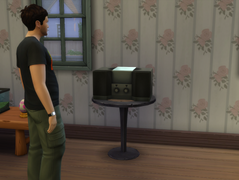 Replaced the Stereo and Fridge