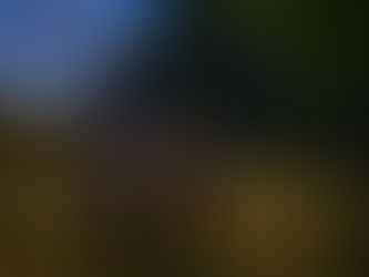 Survived the Demon Attack