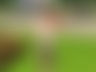 Some More Violin Work for a Couple of Clients