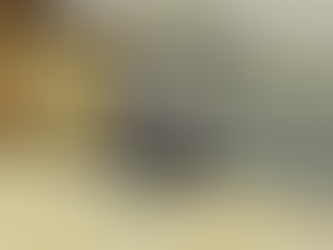 My Dishwasher Broke...