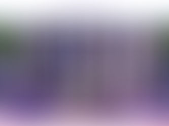 Another Romance Festival