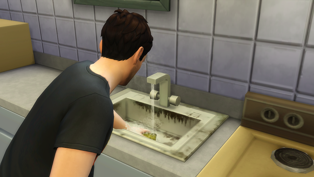 Cleaning the Sink