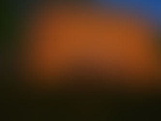 Me and Tara’s House