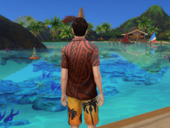A Sunny Day in Sulani
