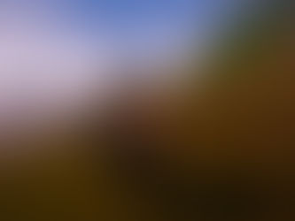 Made Us Some Weapons