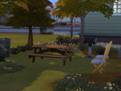 Beautified My Yard!