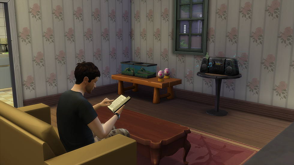 Reading a Book