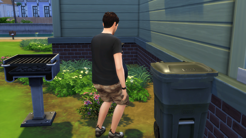 Got Rid of Dead Plants