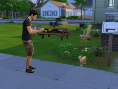 Tigger and a Romance Festival