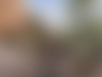 Me and Tara Arrived in Felicia