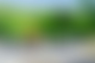 THE GRAND OPENING OF THE ARTISAN GARDENS AT THE RANCHE IN FISH CREEK