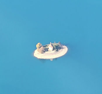 WhatsApp Image 2025-10-26 à 11.24.36_44b20851.jpg