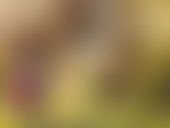 Virágzós jegyes fotózás a dégi Festetics kastélyban