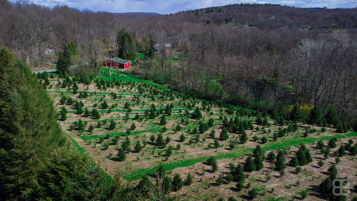 DJI_0190_edited.jpg