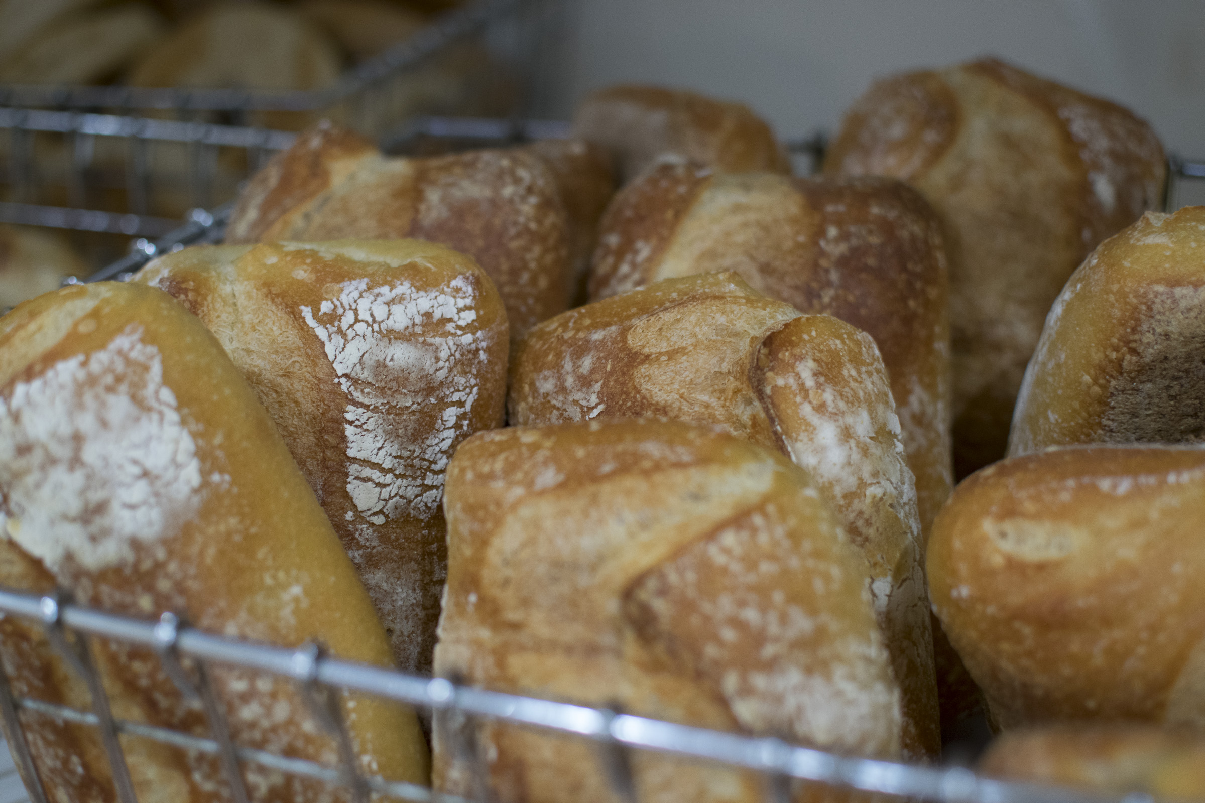 DeFilippis Bakery
