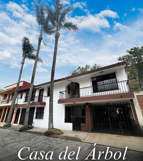 Casa del Árbol
